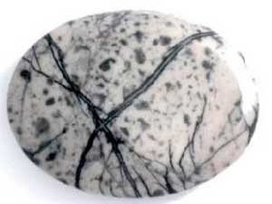 Jasper Picasso