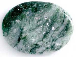 Jasper Tree