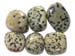 Jasper dalmatian