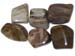 Petrified Wood