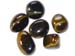 Tigers Eye Golden