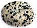 Jasper Dalmation